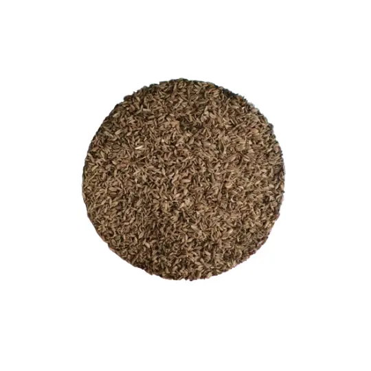 Saunf Loose 100 g